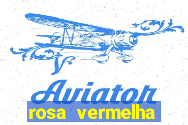 rosa vermelha (letra e cifra)